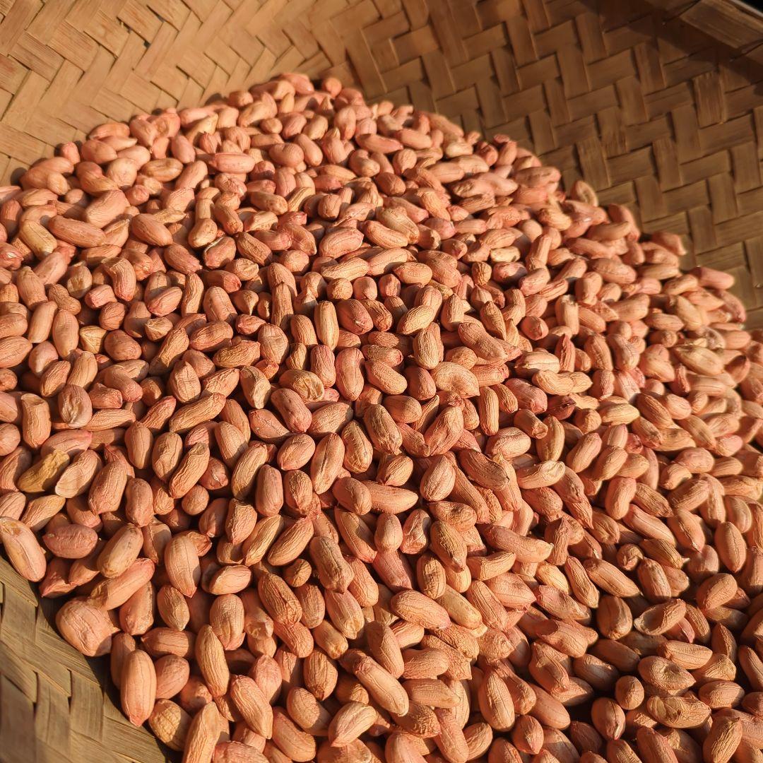 きくらげタクシー　千葉県産 おおまさり 手むき 乾燥生落花生