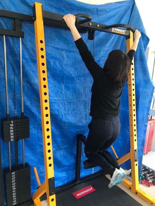 スマート・ラット（チンニング＆ロープーリー）パワーテック社WB-HR16用