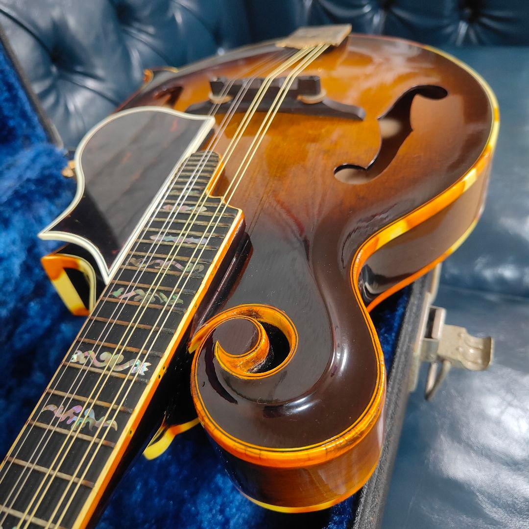 BLUE BELL F-10 マンドリン ブルーベル