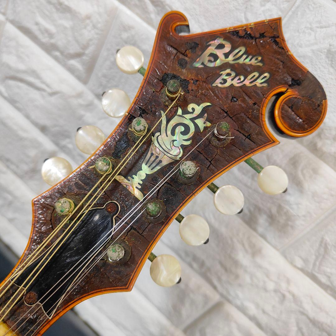 BLUE BELL F-10 マンドリン ブルーベル