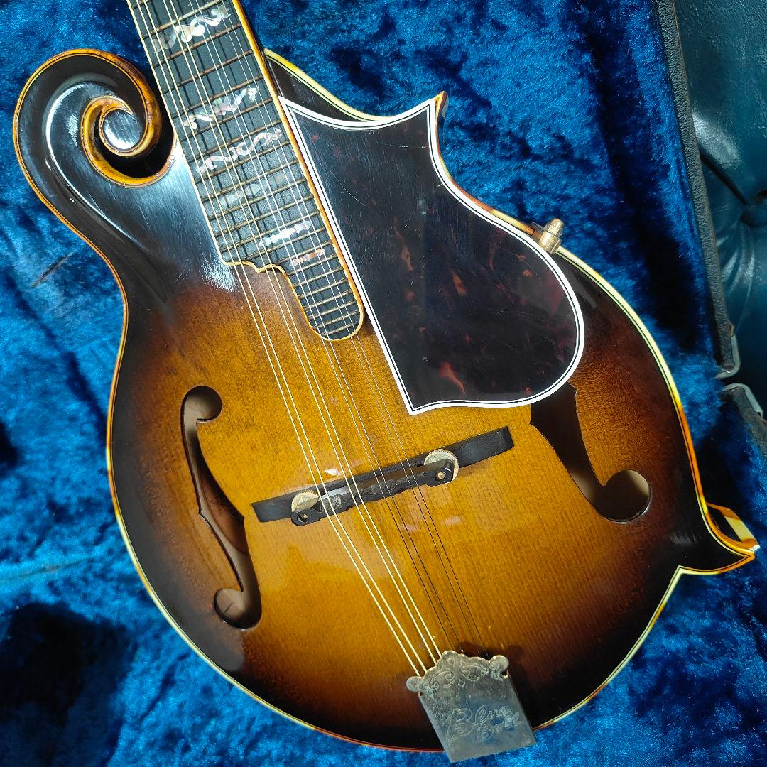 BLUE BELL F-10 マンドリン ブルーベル