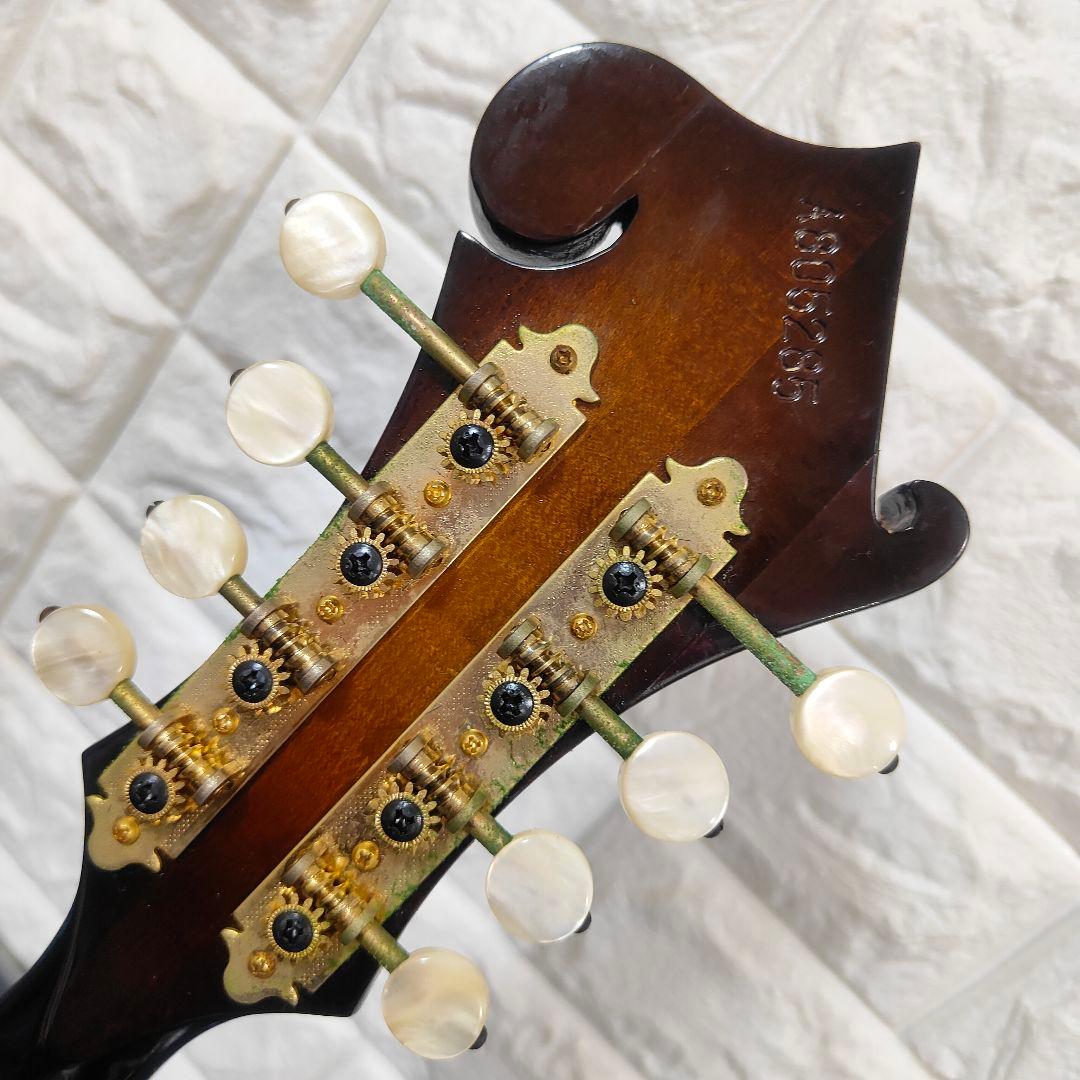 BLUE BELL F-10 マンドリン ブルーベル