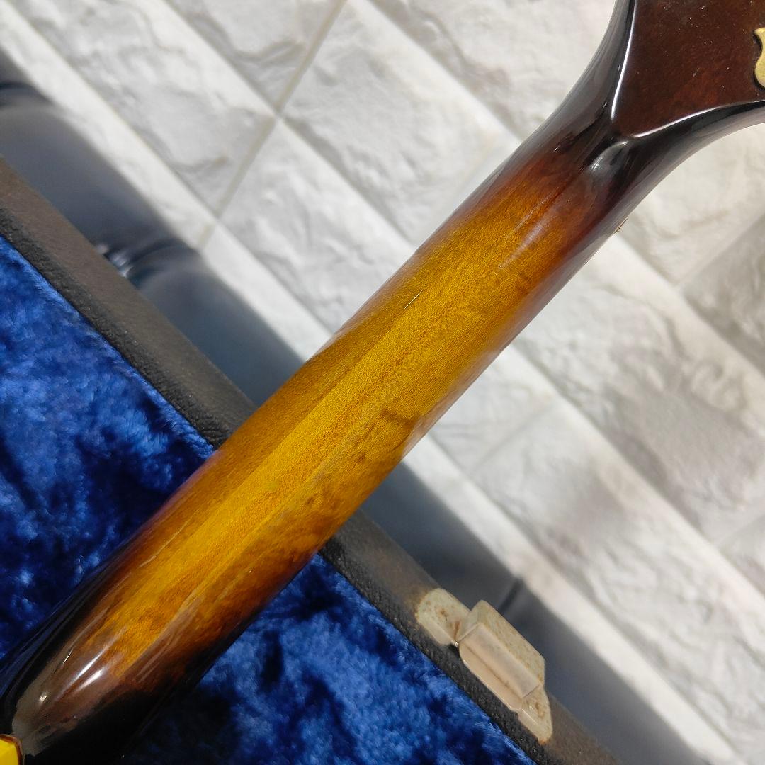 BLUE BELL F-10 マンドリン ブルーベル