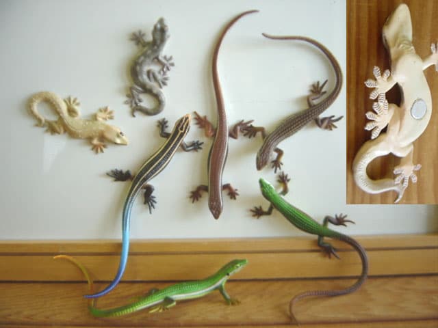 ♯Gti10IVネイチャーMONOトカゲヤモリストラップ マグネット14種