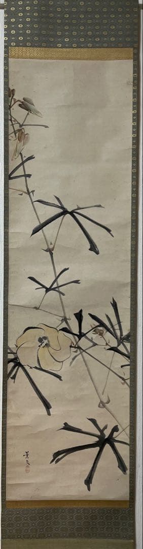 掛け軸 松村景文 絵［花ノ図］京都生 紙本　肉筆　共箱！