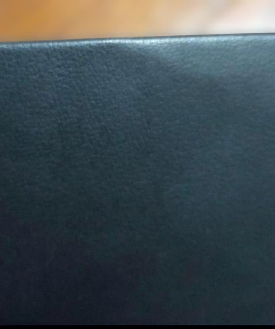 希少！！非売品！ 光GENJIエスキモーバインダー