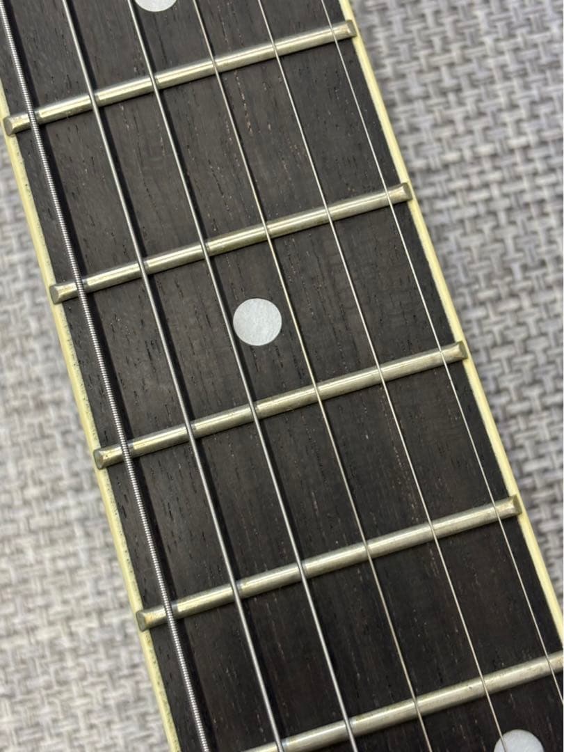 ⭐︎DONNER ドナー エレキギター ソフトケース 初心者 入門用