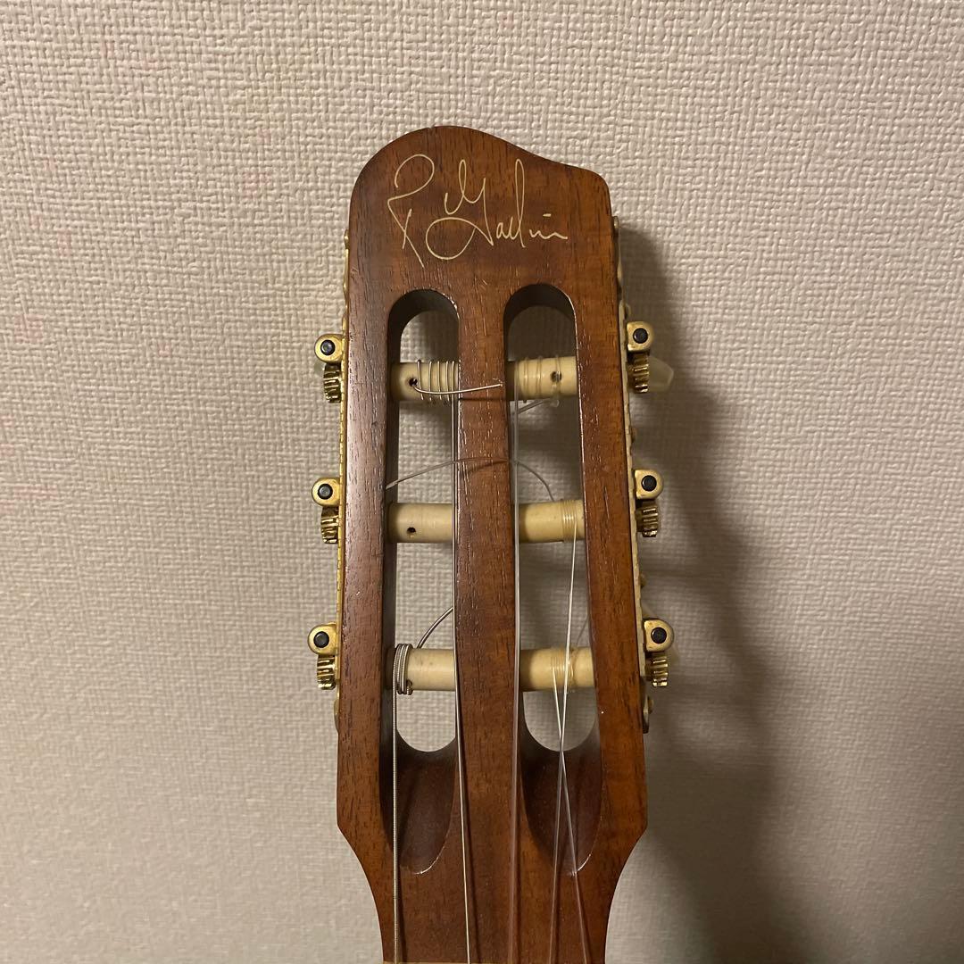 Godin Duet nylon 初期モデル