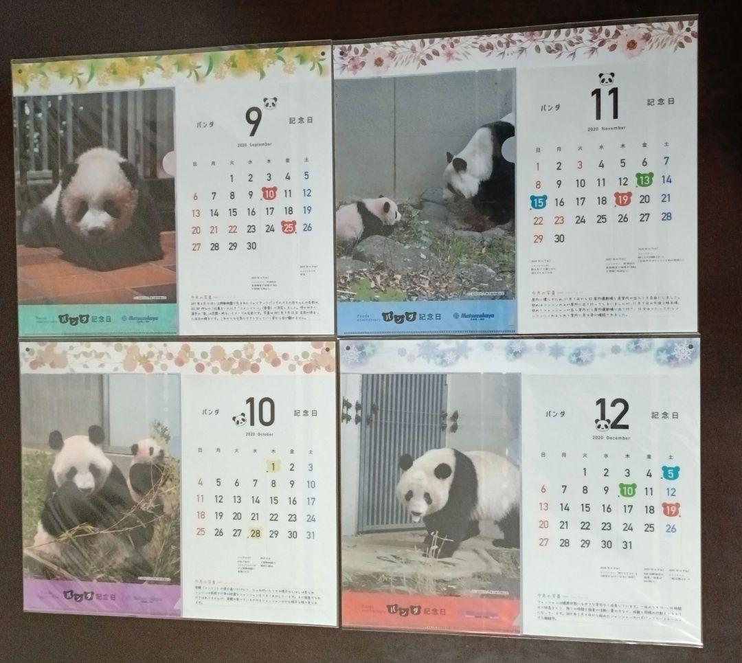 パンダ記念日カレンダー入りクリアファイル 13枚 松坂屋上野店 シャンシャン