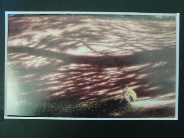 山本 貞、地の光景、希少画集画、新品額装付