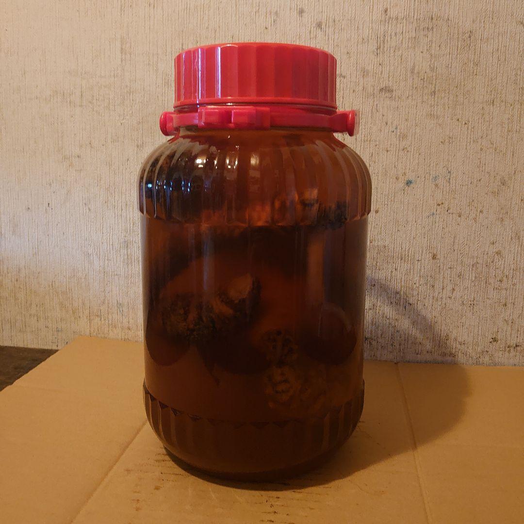 奈良県吉野山系吉野の天然物ツルニンジン酒5Ｌ ツルニンジン酒5Ｌ入り