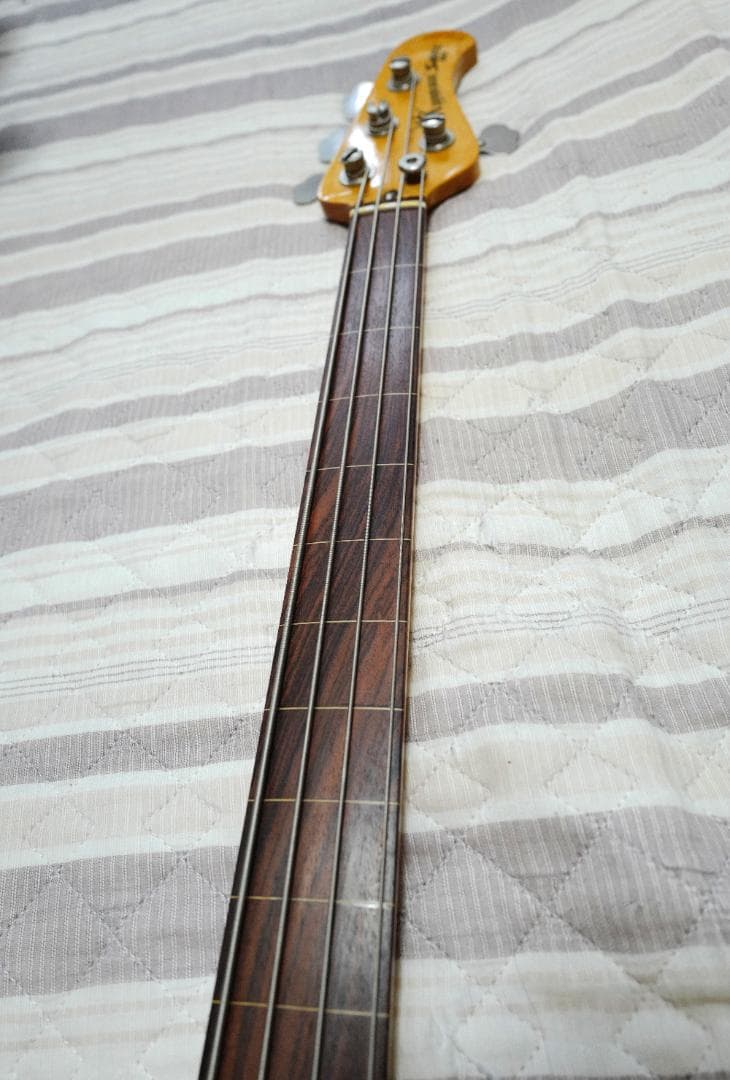 限定！【プレアーニー】MusicMan Sabre Fretless