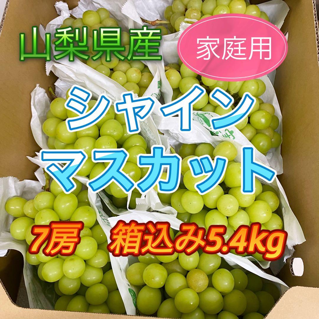 山梨県産　訳あり　家庭用　シャインマスカット　7房　箱込み5.4kg ①
