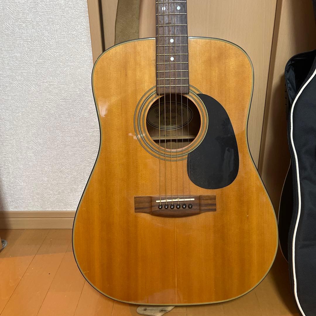Stafford & Co. SF - 300 アコースティックギター セット