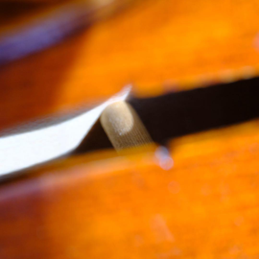 R.M.PAULUS R.M.パウルス V-5 4/4 1991 弓 ケース付き