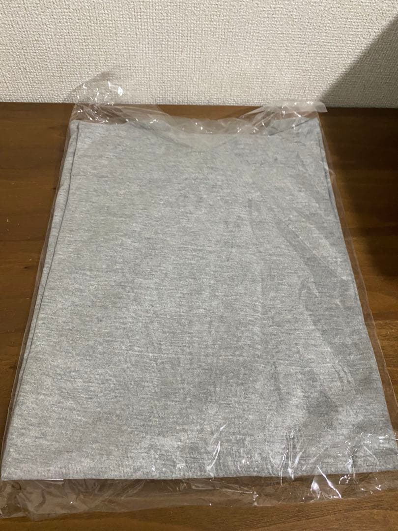 【新品未開封】ONE OK ROCK 2023 DOME TシャツA GRAY