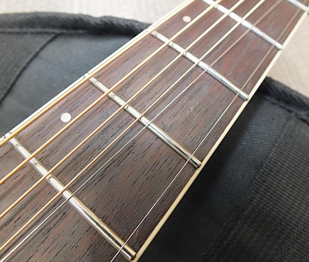 ☆　James・J-450D・Ova BLK・ジェームス・エレアコ