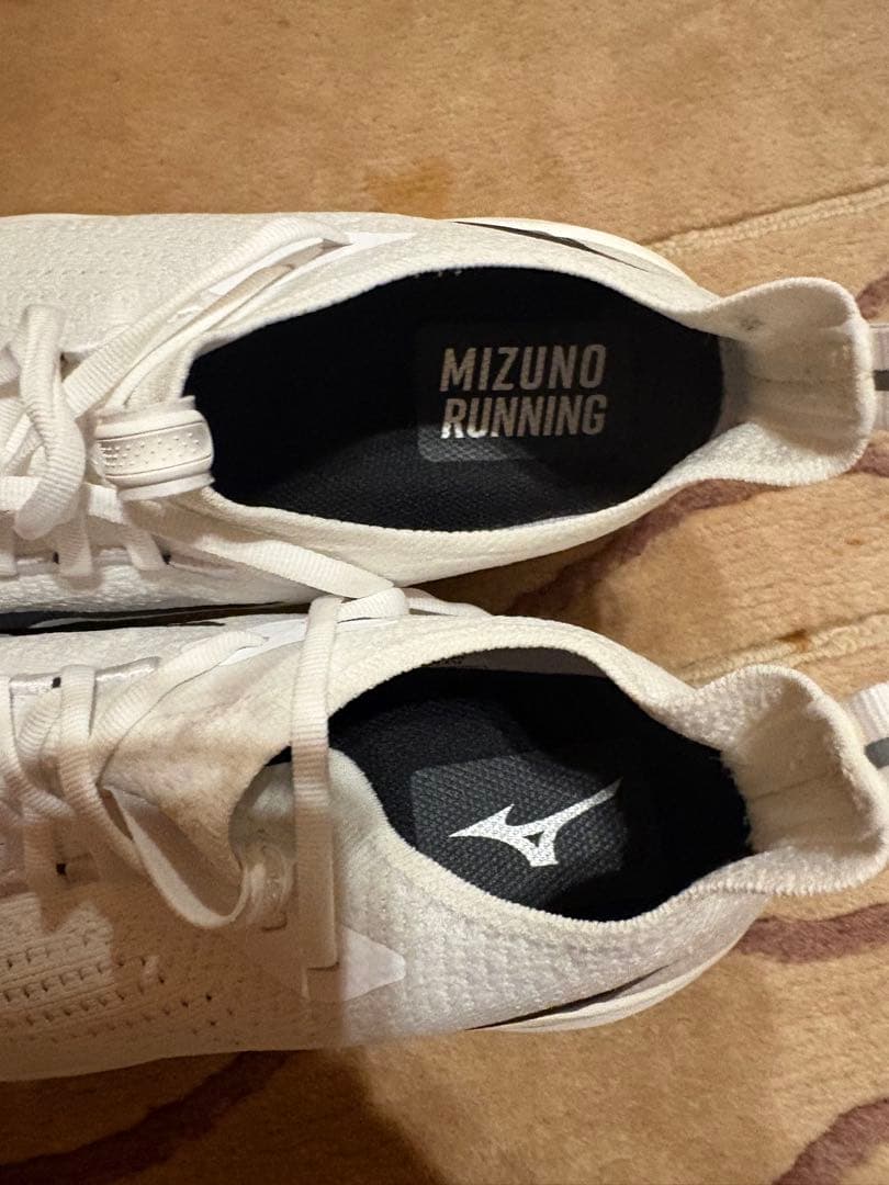 Mizuno ネオビスタ2 27.5