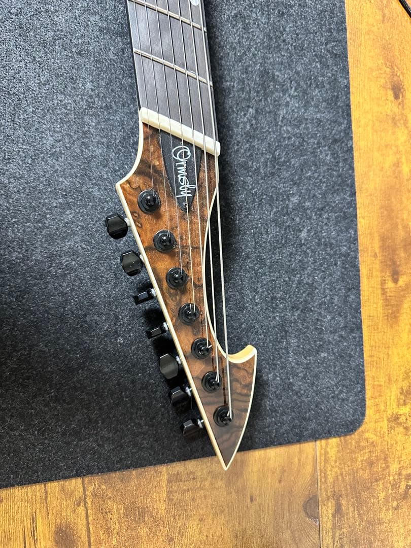 Ormsby Guitars Hype GTR 7弦