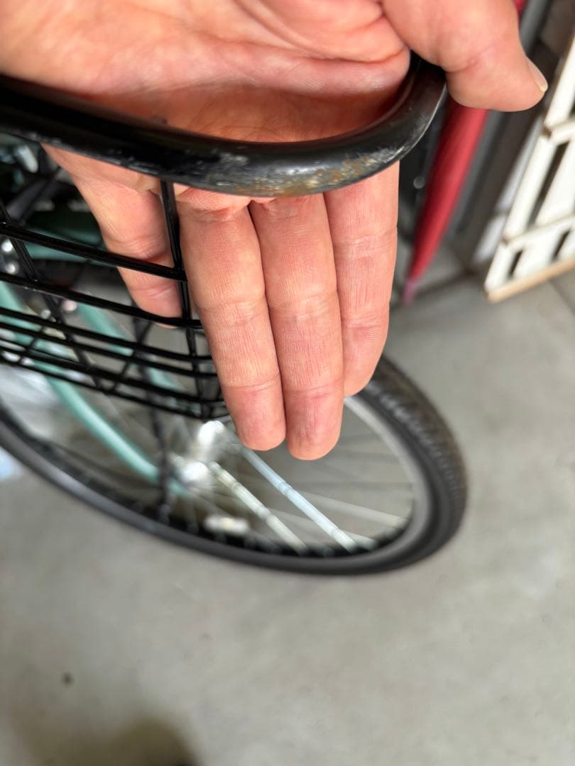 【土日引取り限定（大阪）】ダイワサイクル　ルミナG　グリーン系