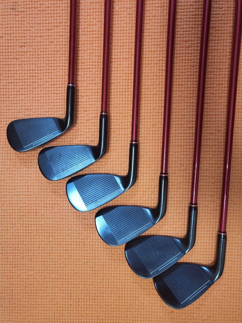 販売期間1月17日まで【限定品】ロッディオ(Roddio) アイアンセット