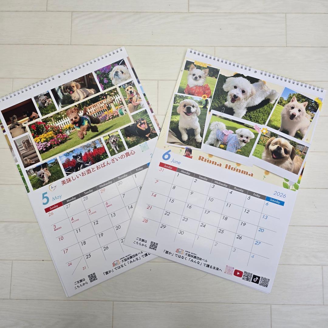 ①『犬』壁掛けチャリティーカレンダー10枚セット