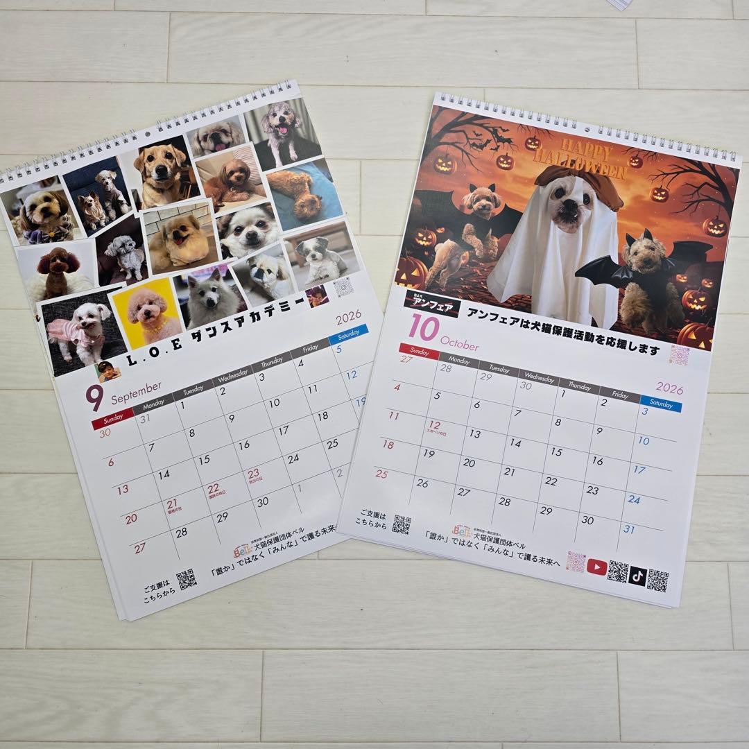 ①『犬』壁掛けチャリティーカレンダー10枚セット