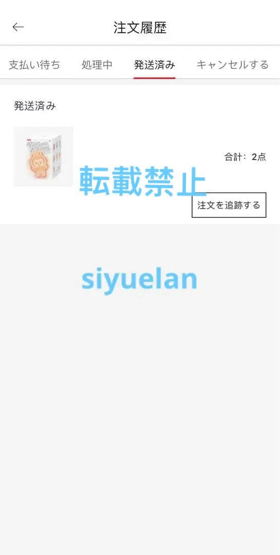 正規品 Big into Energy ラブブ シークレット