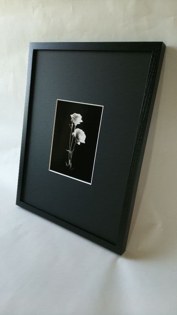 花 大切な人へのプレゼント「トルコキキョウ・・・家族へ」