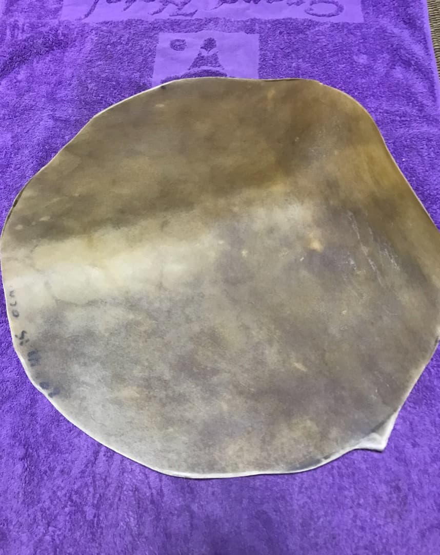 キューバ産コンガ用フラットヘッド