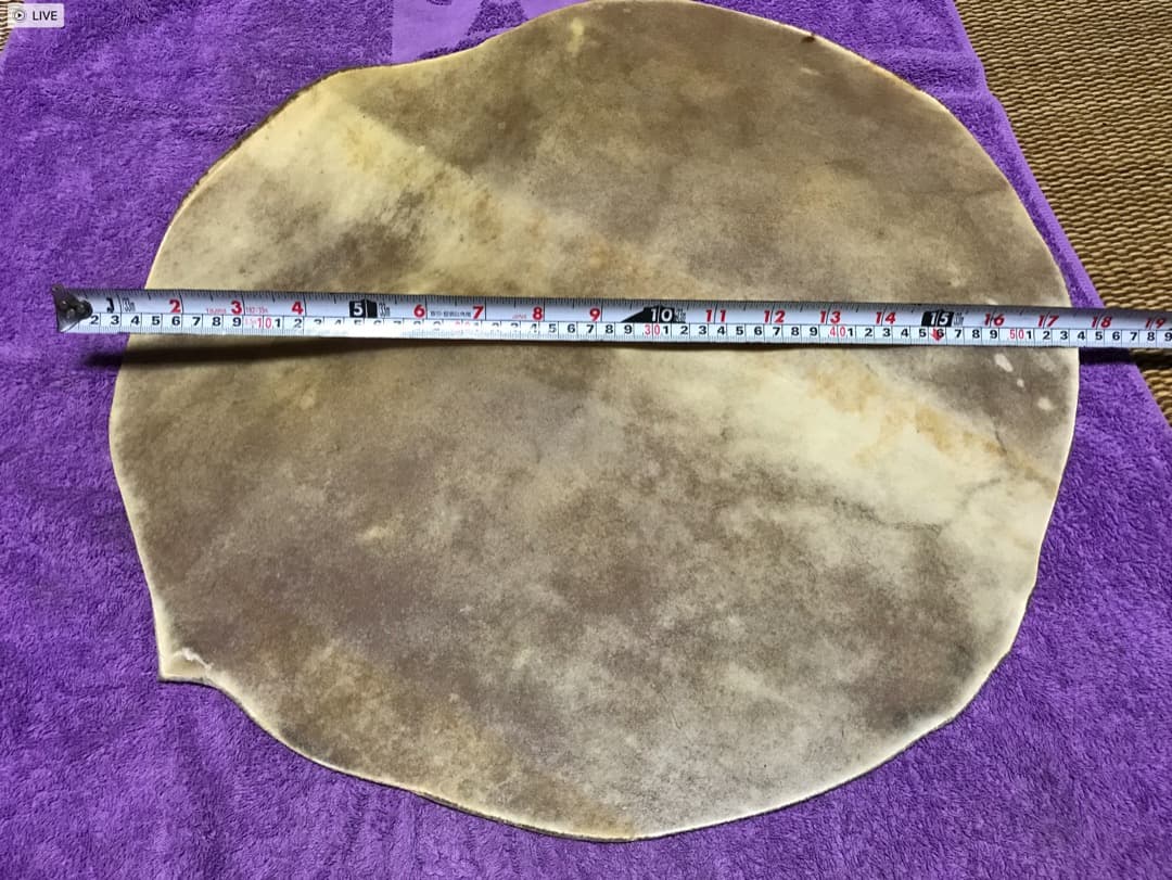 キューバ産コンガ用フラットヘッド