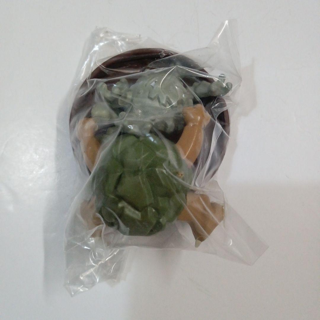 立体ポケモン図鑑　トサキント　ププリン　ピィ　イシツブテ　ナマケロ　レジロック