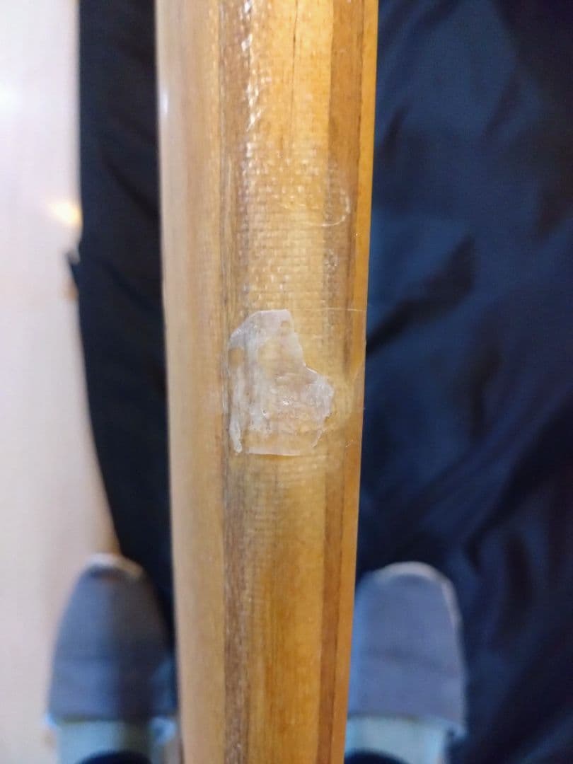 FIREWIRE the GEM 9'5\"×22 1/2\"×3 70.3L