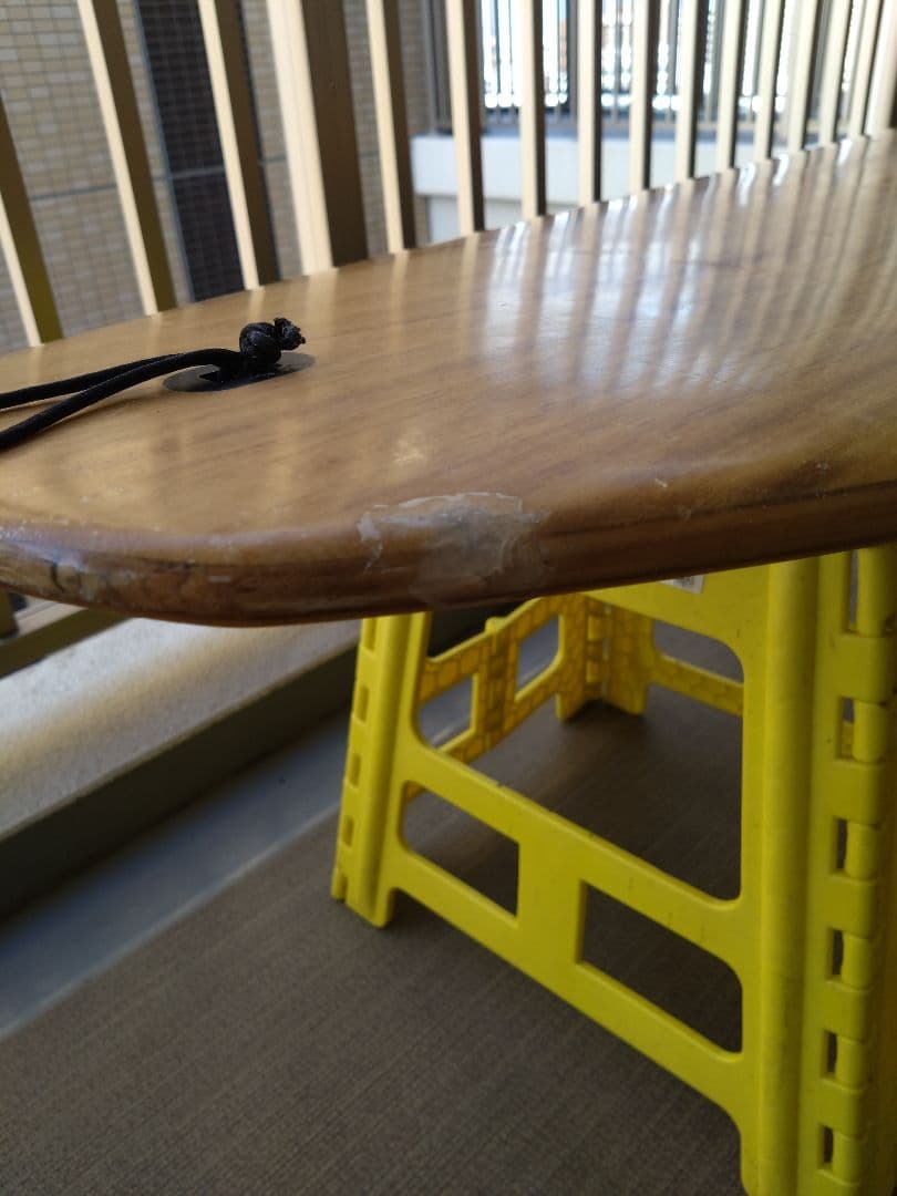 FIREWIRE the GEM 9'5\"×22 1/2\"×3 70.3L