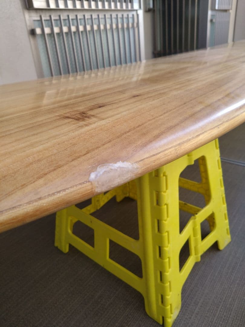 FIREWIRE the GEM 9'5\"×22 1/2\"×3 70.3L