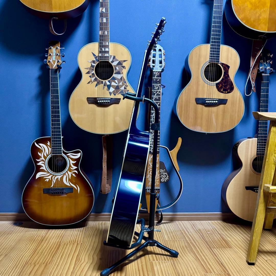 【美品エレアコ】James JF400-SBB fishmanプリアンプ装着