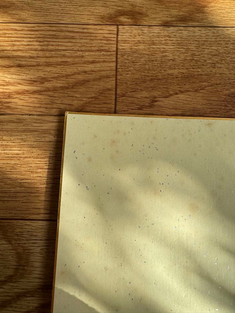 千葉ロッテマリーンズ　小坂誠選手　直筆サイン色紙