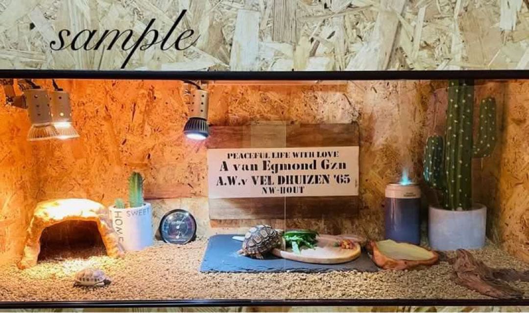 爬虫類ケージ　木製ケージ　フトアゴ　ハリネズミ プロフ必読　フルオプ　送料込