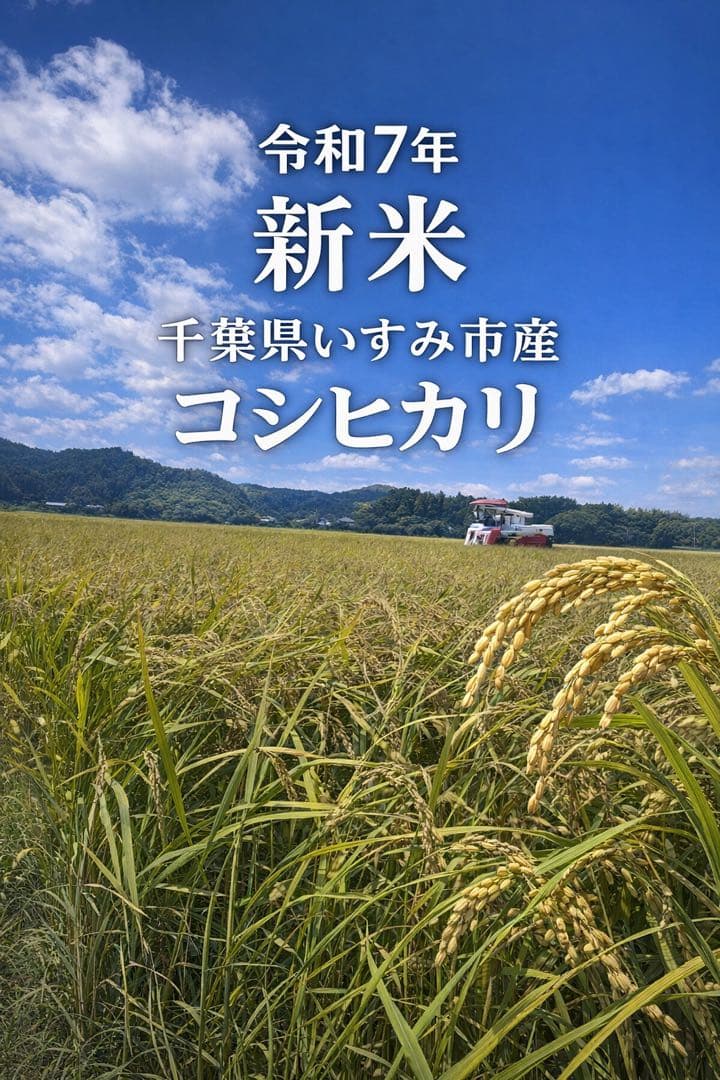 ⭐︎数量限定⭐︎新米 コシヒカリ 千葉県いすみ市産 20キロ　白米　無洗米