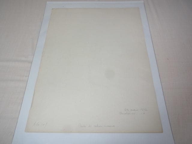 1887年銅版画◆フランス ファッション誌『ラ・モード・イリュストレ』No.27