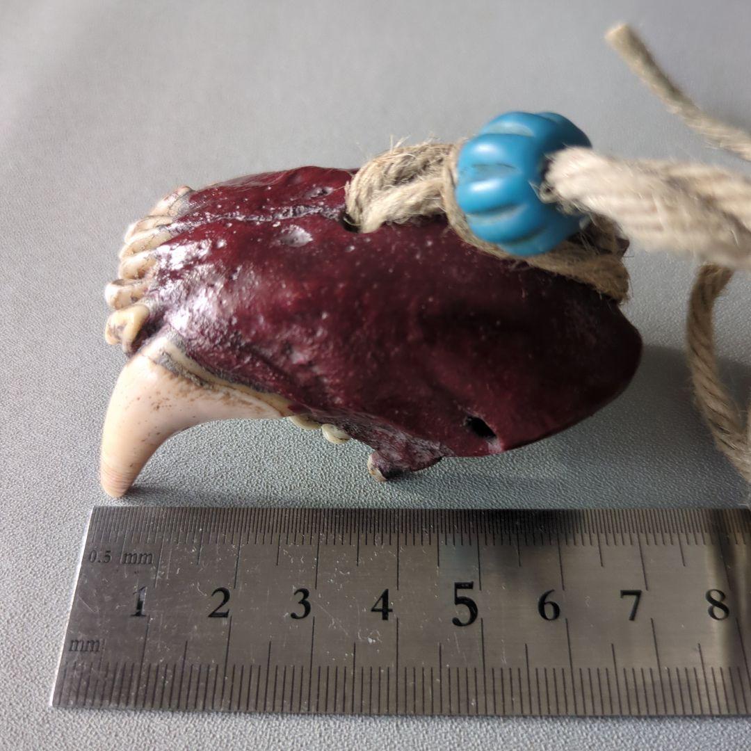 アイヌ根付　羆下顎　北海道