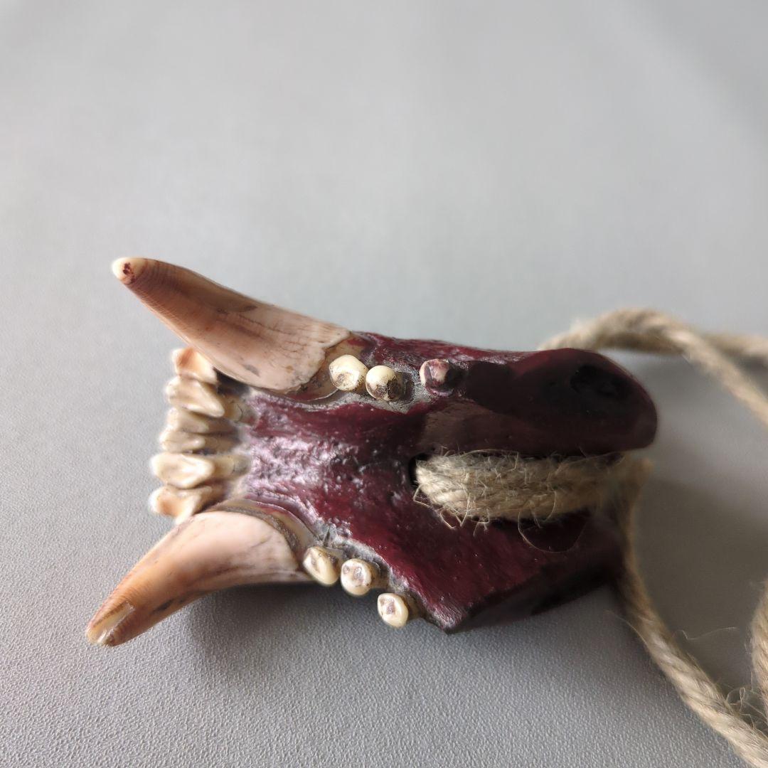 アイヌ根付　羆下顎　北海道