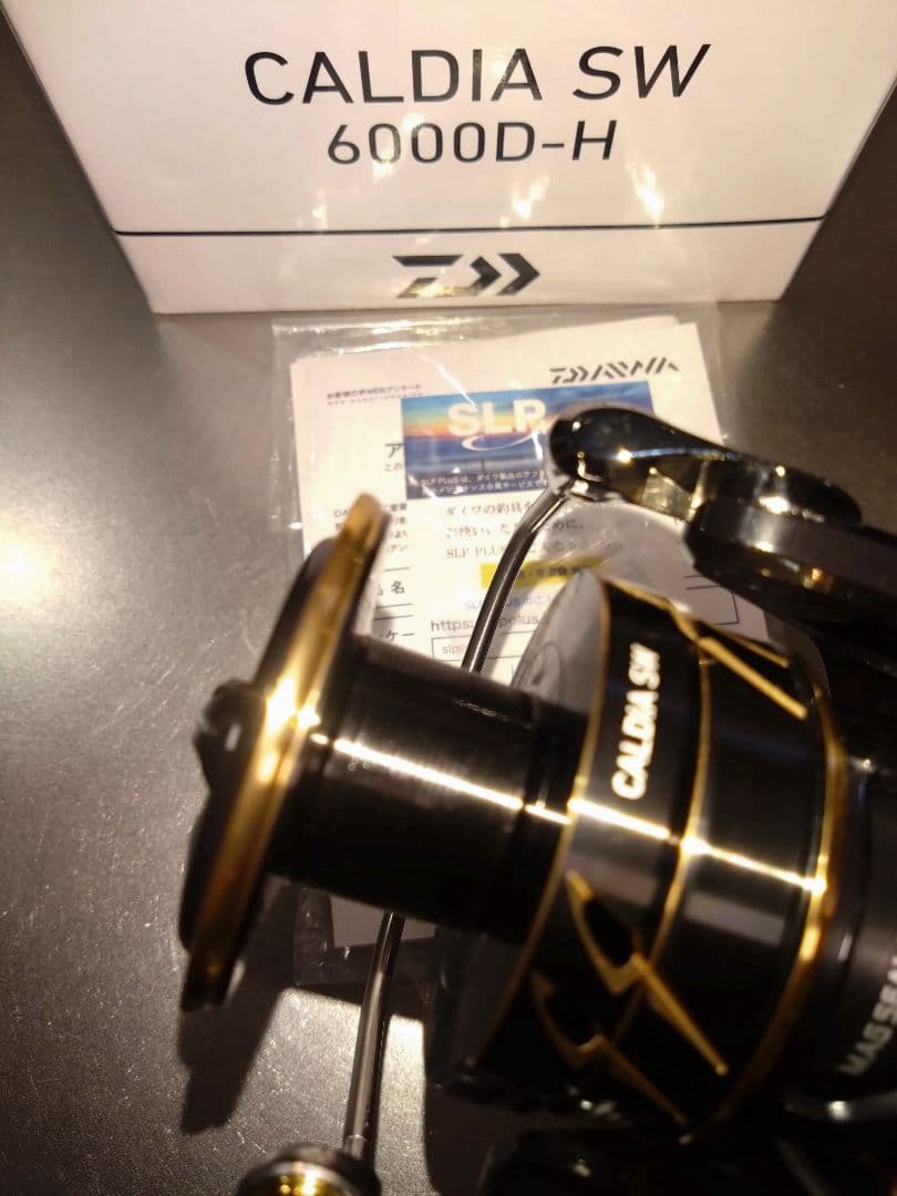 ダイワ　カルディアSW 6000D-H