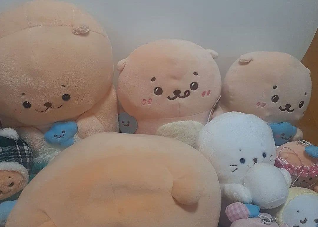 《期間限定お値下げ》しろたんグッズ　ラッコ犬