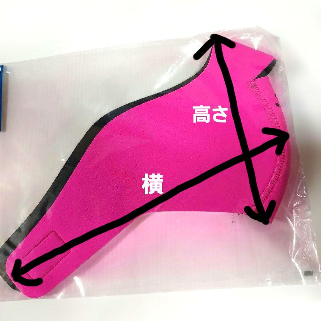 新品未使用 フェイスマスク スキー スノーボード メンズ レディース キッズ
