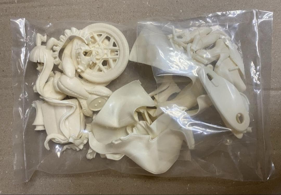 世界征服謀略のズヴィズダー 星宮ケイト ヴィニエイラ様 ガレージキット