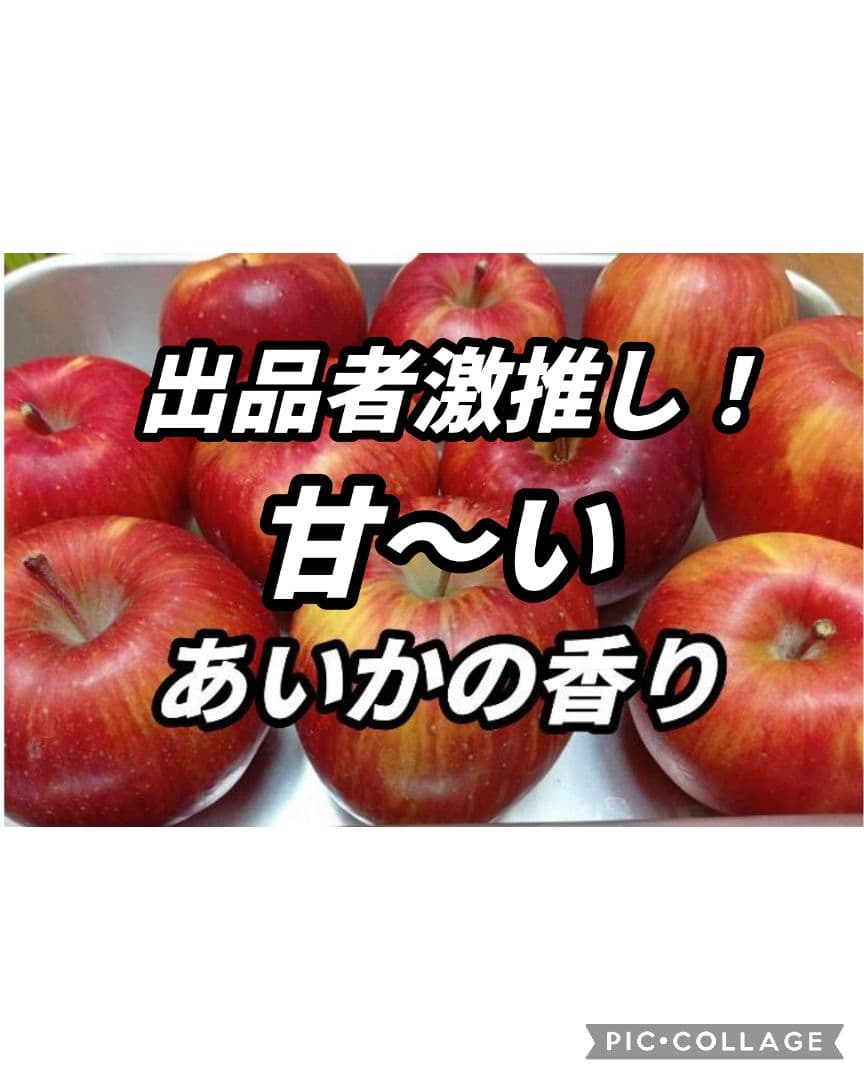 けんぼん　りんご詰め合わせ