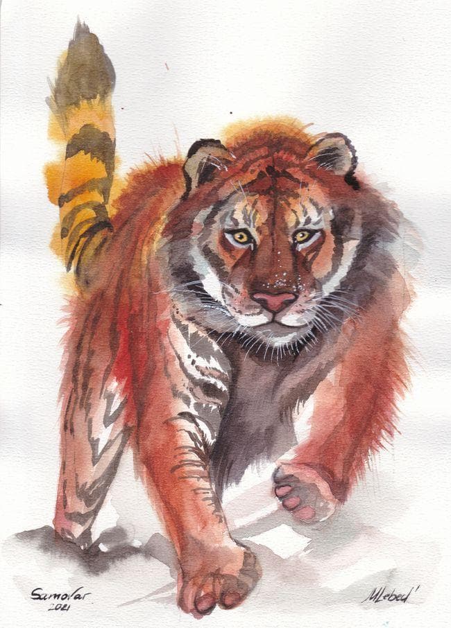 イラスト　原画　リーベド・マリーナ 「疾駆」