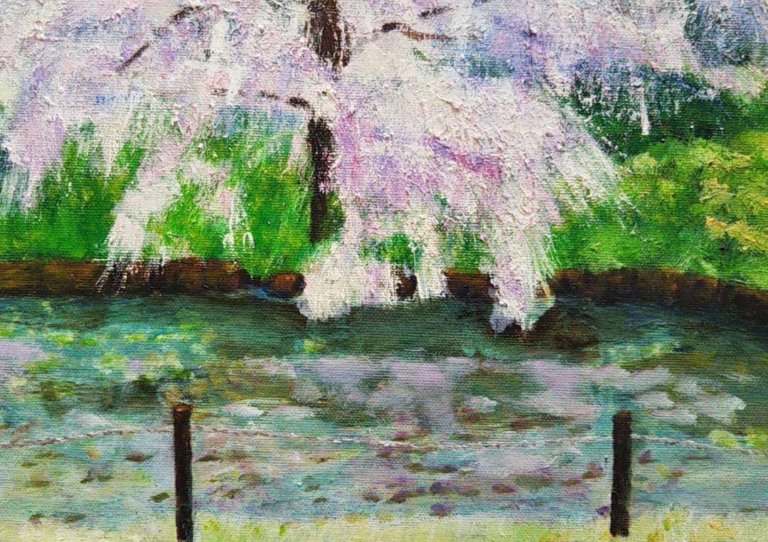 油絵 風景画 神奈川三渓園の枝垂桜【4月】P10