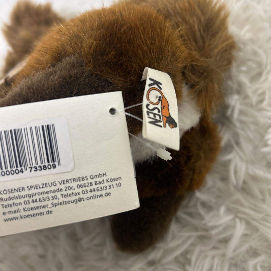 【極美品】タグ付き　KOSEN ケーセン りす ２３㎝　参考定価23,650円